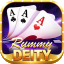 free rummy 51 bonus icon